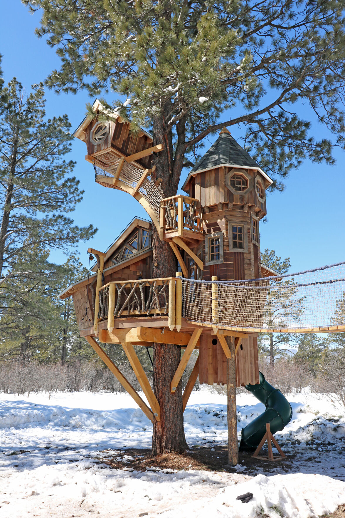 Homes Treehouses